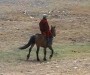 Inspiration News: Season II Episode X: Mongolia