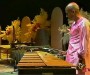 Vibraphone Victory in Zurich